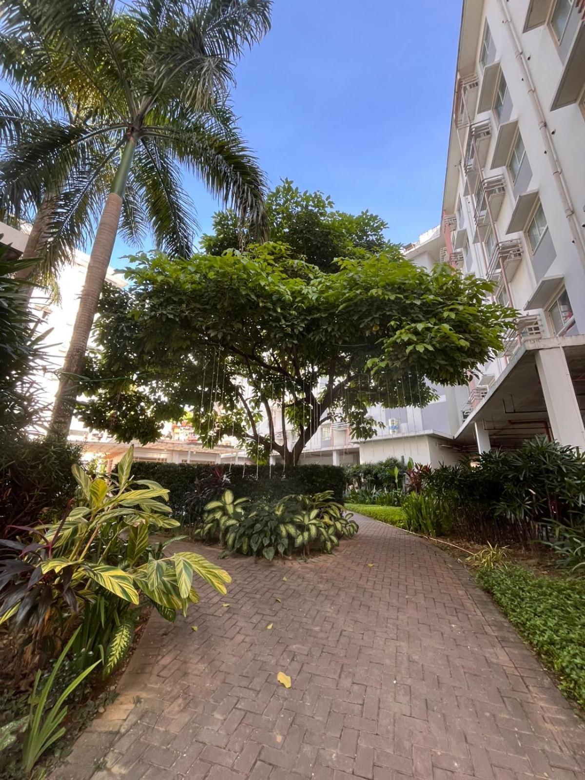 Summum Bonum Bliss - Lahug Aparthotel Cebu Ngoại thất bức ảnh